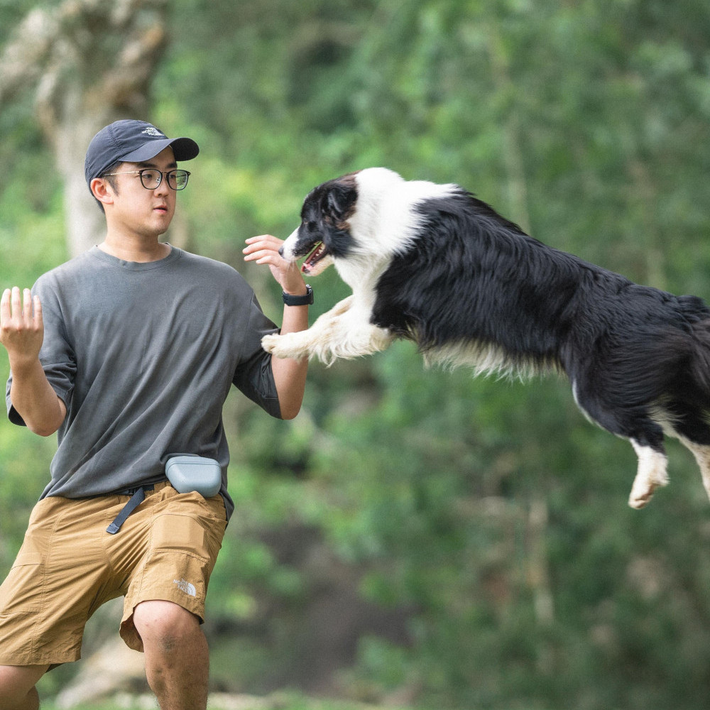 3b. Modern Dog Training Certified Dog Trainer Howard Lam.jpeg